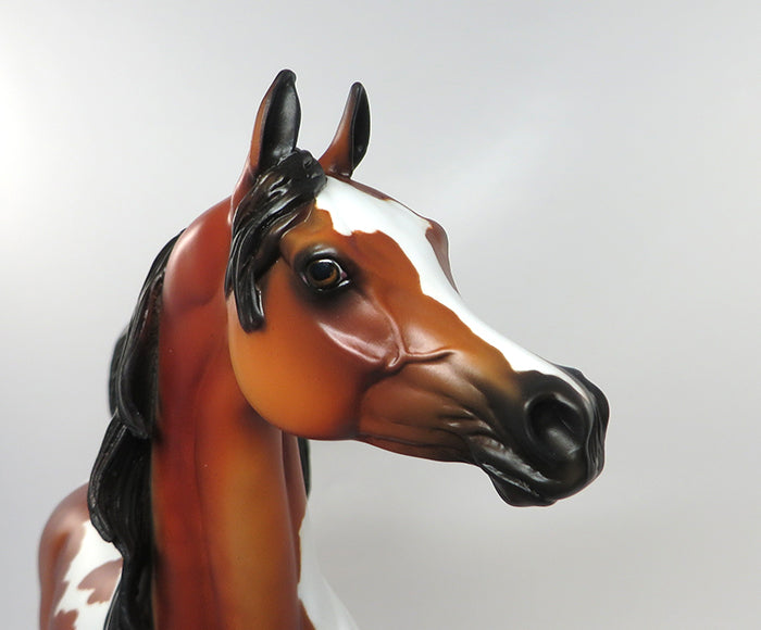 EDMUND-OOAK BAY TOBIANO ARABIAN MODEL HORSE 8/31