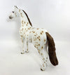 Appaloosa