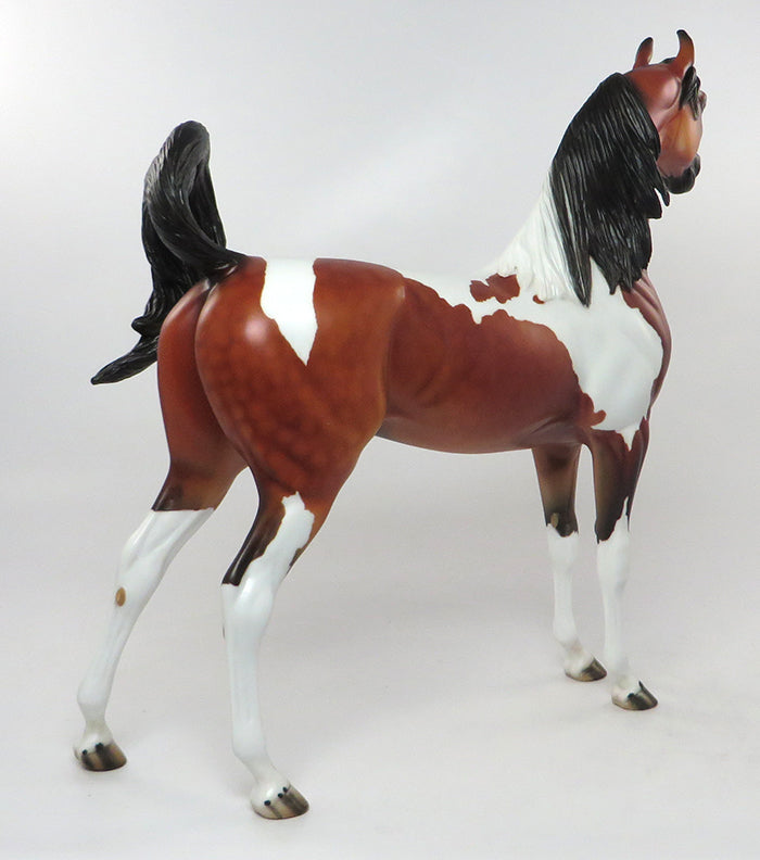 EDMUND-OOAK BAY TOBIANO ARABIAN MODEL HORSE 8/31