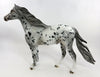 Spanish Mustang