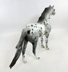 Appaloosa