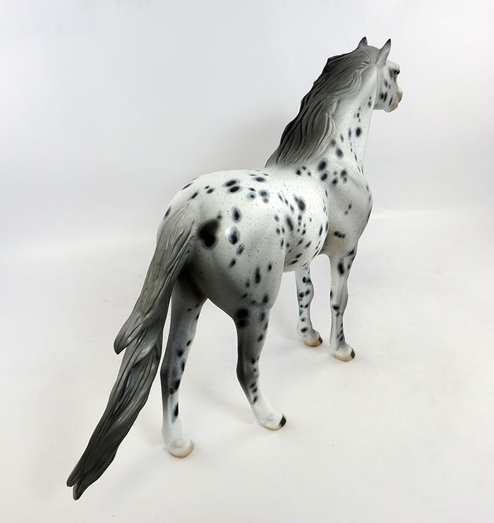 Appaloosa