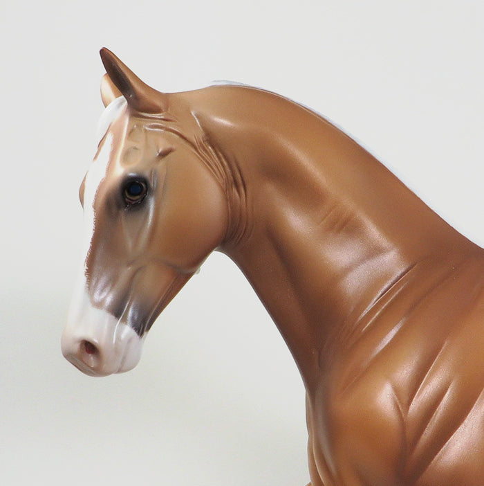 Caroline Boydston Palomino