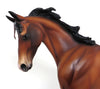 OOAK Bay Appaloosa