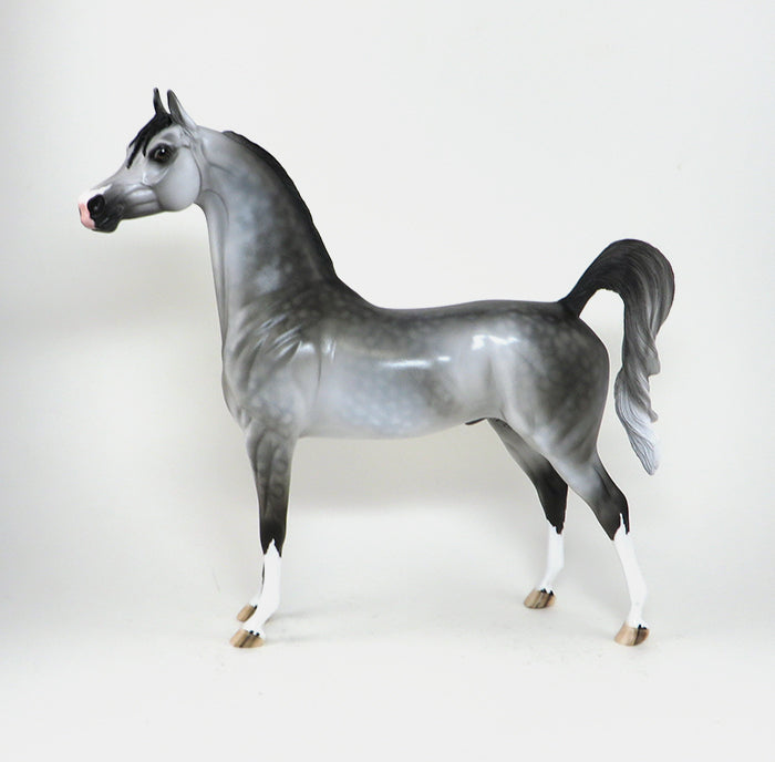 dapple grey arabian horse