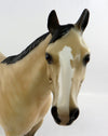 Buckskin