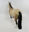 Stock Horse