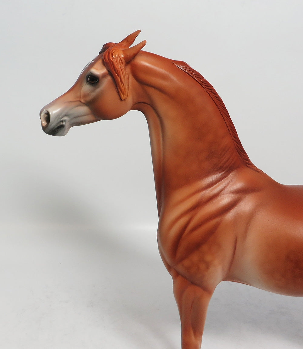 SPELL BOUND - OOAK DAPPLE CHESTNUT ARABIAN BY DAWN QUICK EA 2018