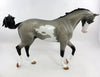 Thoroughbred