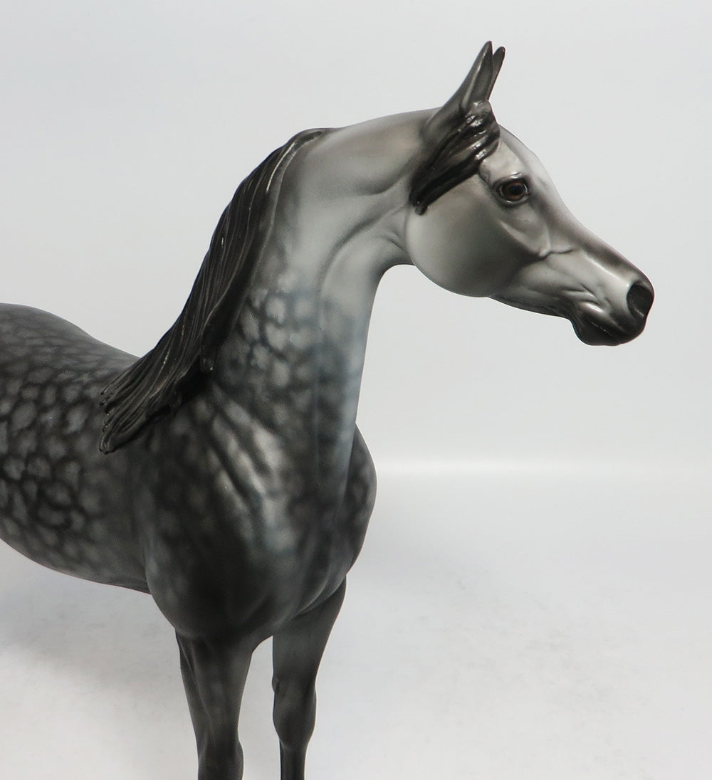 ASHBA-OOAK STAR DAPPLE ARABIAN BY DAWN QUICK 2/8/18