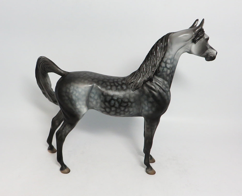 ASHBA-OOAK STAR DAPPLE ARABIAN BY DAWN QUICK 2/8/18