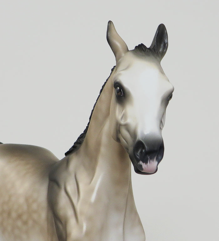 OOAK Buckskin Yearling