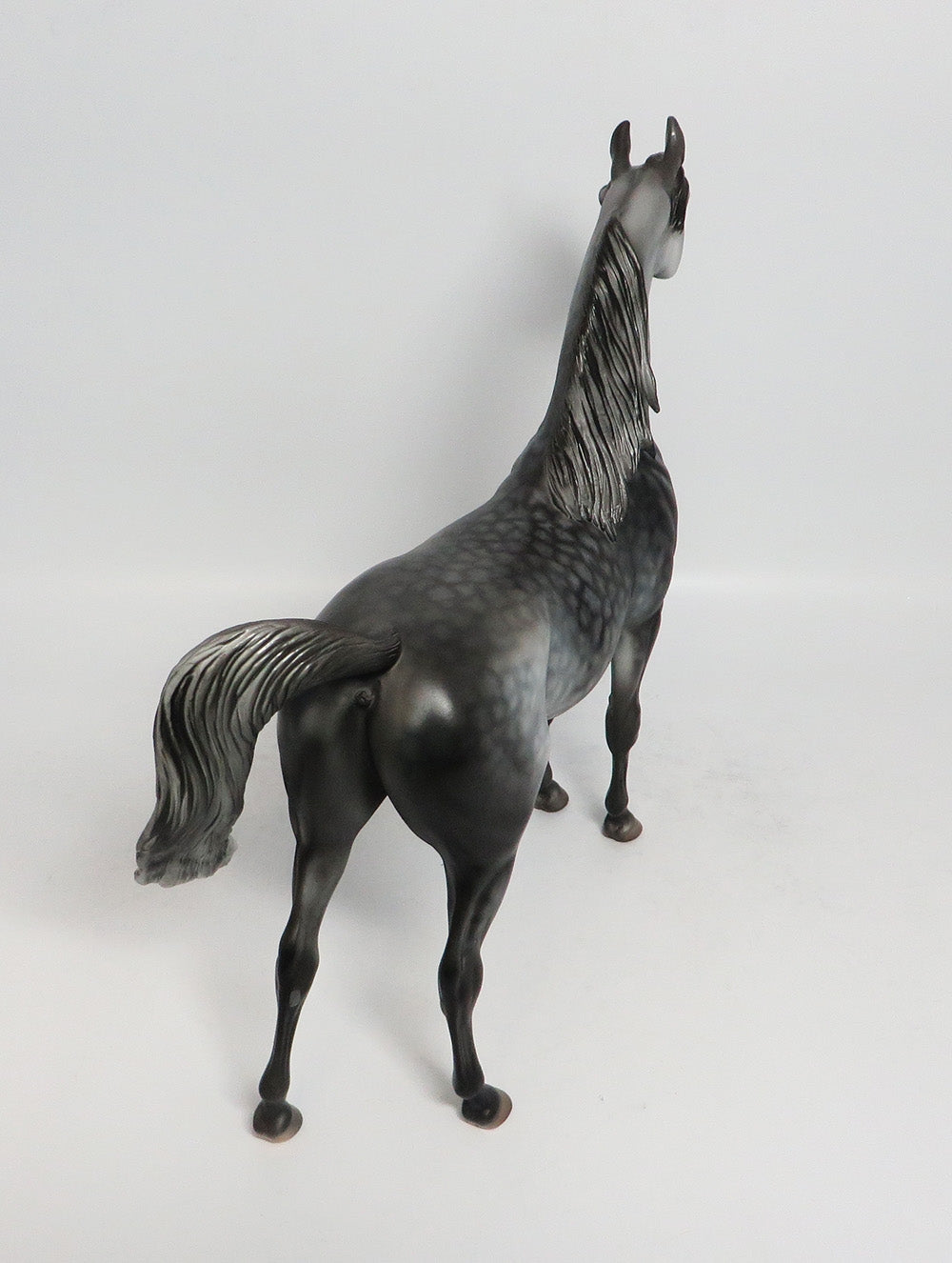 ASHBA-OOAK STAR DAPPLE ARABIAN BY DAWN QUICK 2/8/18