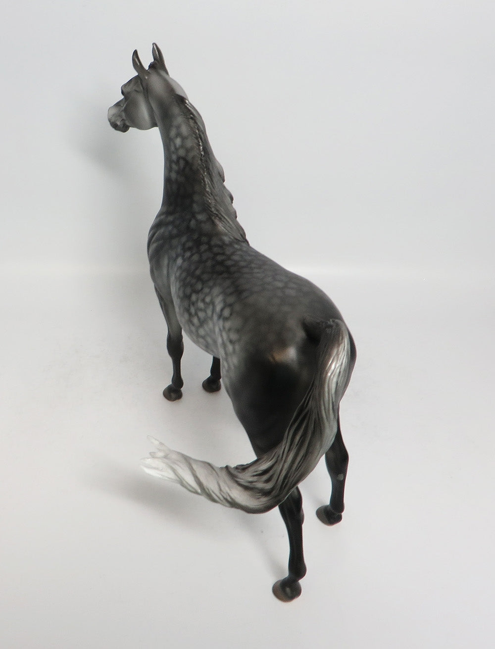 ASHBA-OOAK STAR DAPPLE ARABIAN BY DAWN QUICK 2/8/18