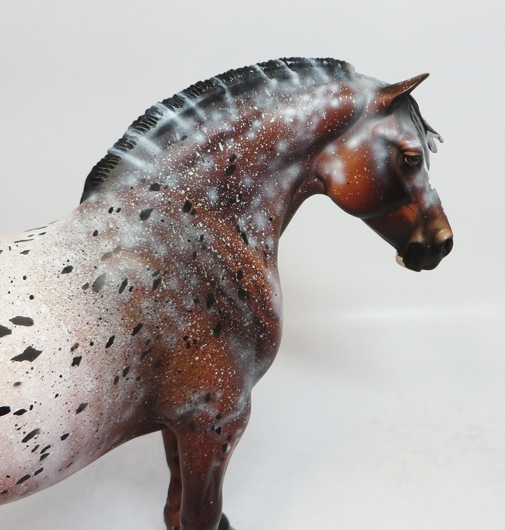 LADY GAGA-OOAK APPALOOSA HEAVY DRAFT EQUINE AFFAIRE 2018