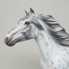 appaloosa