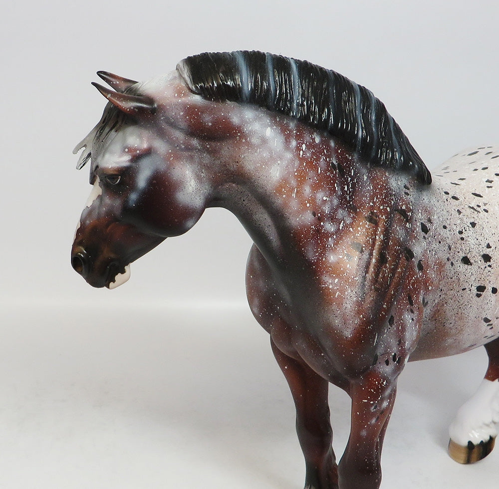 LADY GAGA-OOAK APPALOOSA HEAVY DRAFT EQUINE AFFAIRE 2018