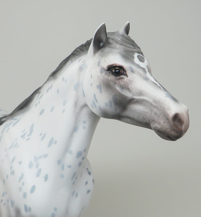 APPALOOSA  MODEL HORSE