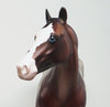 Appaloosa Horse