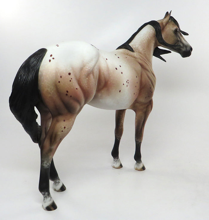 Appaloosa