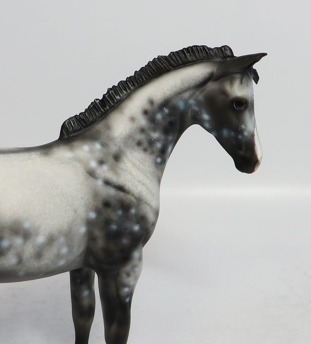 POPPIT-OOAK APPALOOSA WEANLING MODEL HORSE 02/16/18