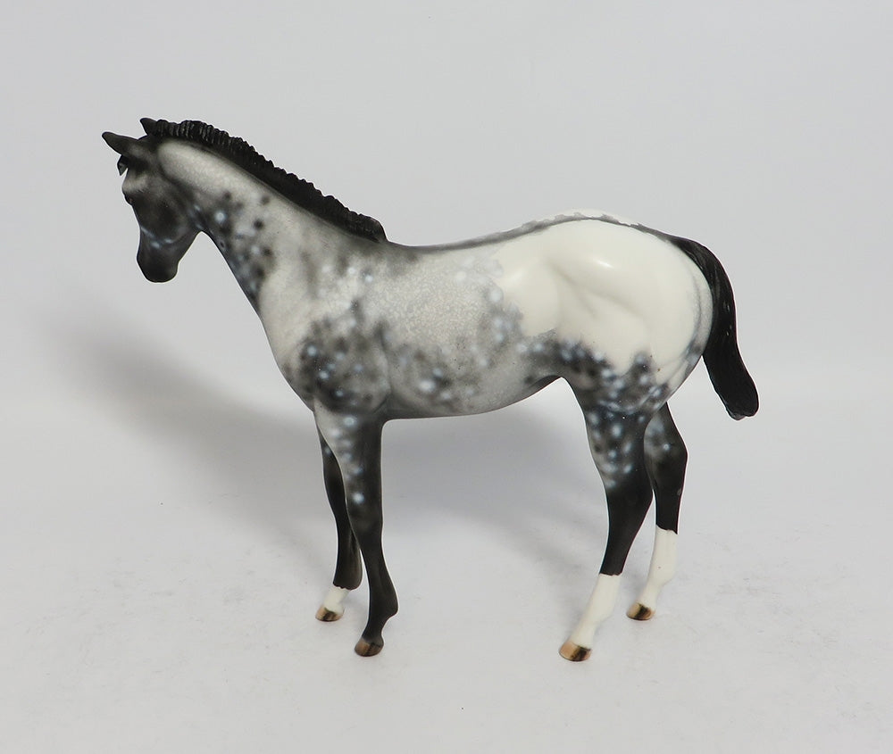 POPPIT-OOAK APPALOOSA WEANLING MODEL HORSE 02/16/18