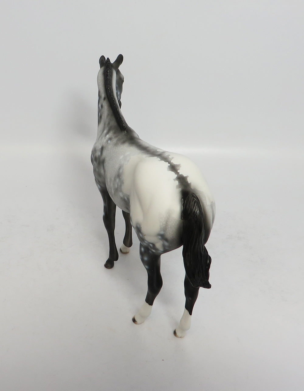 POPPIT-OOAK APPALOOSA WEANLING MODEL HORSE 02/16/18