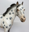 EQUILOCITY BASKET~IT&#39;S A DOG&#39;S WORLD BASKET~25 TICKETS