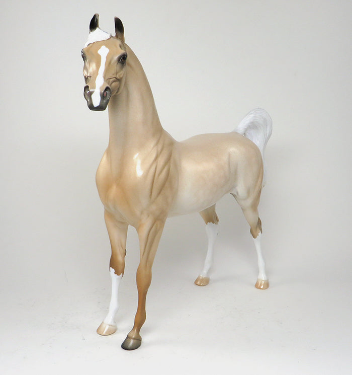 Palomino arabain