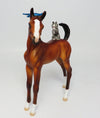 EQUILOCITY BASKET-CAT LADY BASKET~25 TICKETS