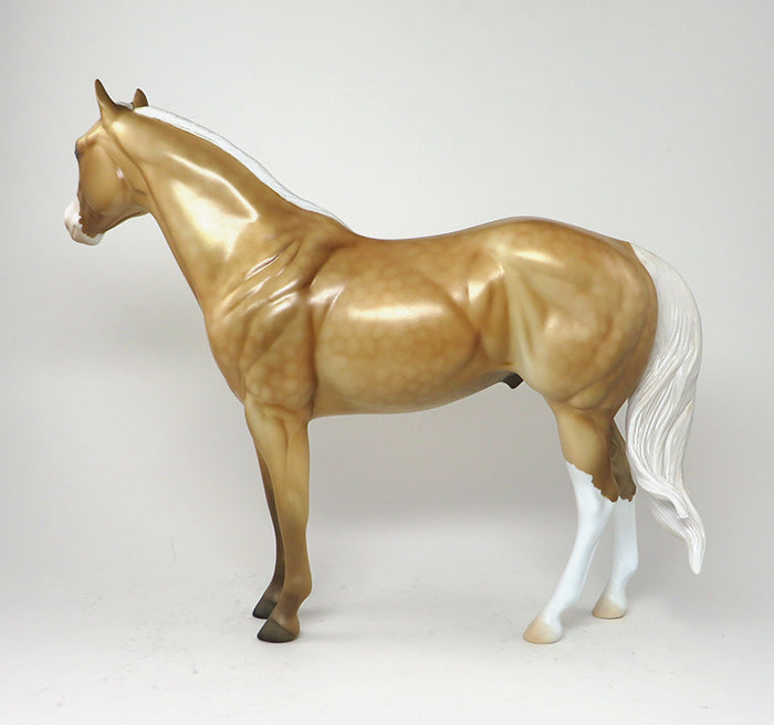 golden palomino
