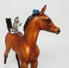 EQUILOCITY BASKET-CAT LADY BASKET~25 TICKETS