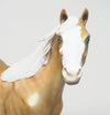 one of a kind horse