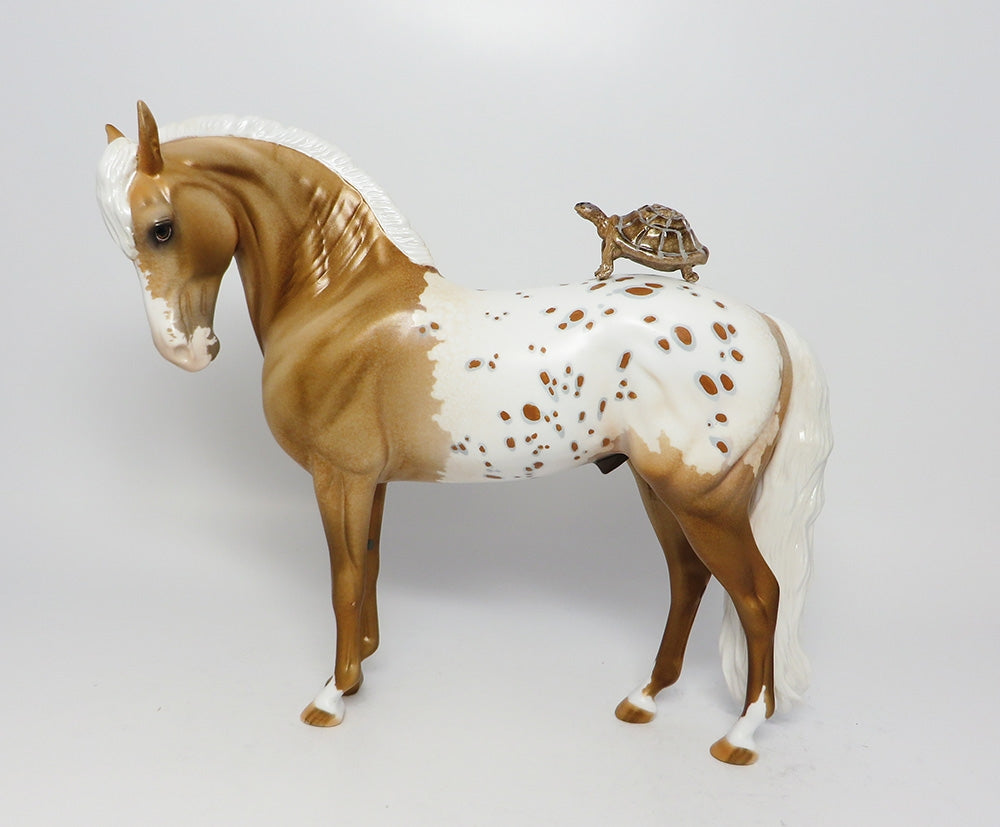 palomino appaloosa