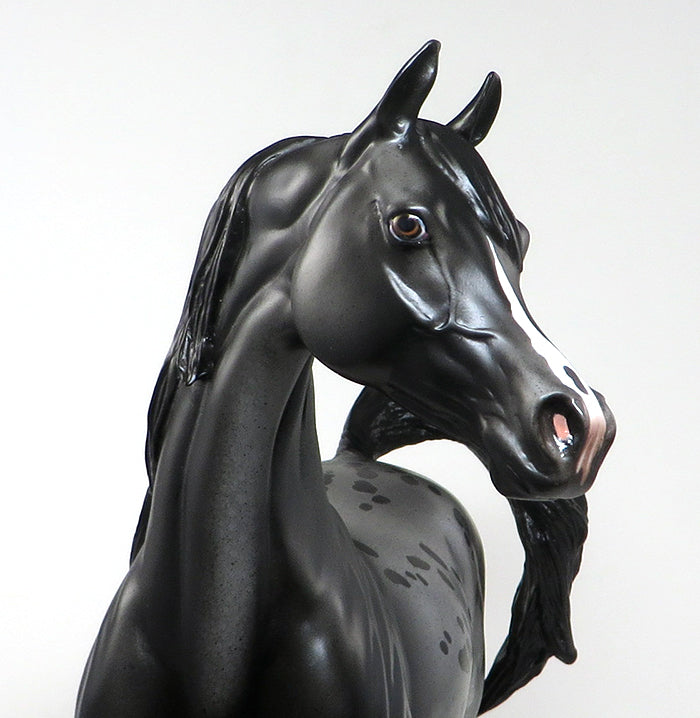 Black Arabian Model Horse 