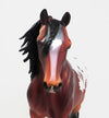 Bay Appaloosa Pony