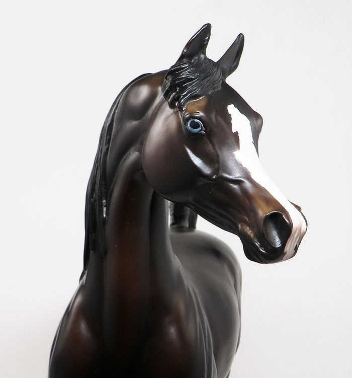 One-of-a-Kind Arabian