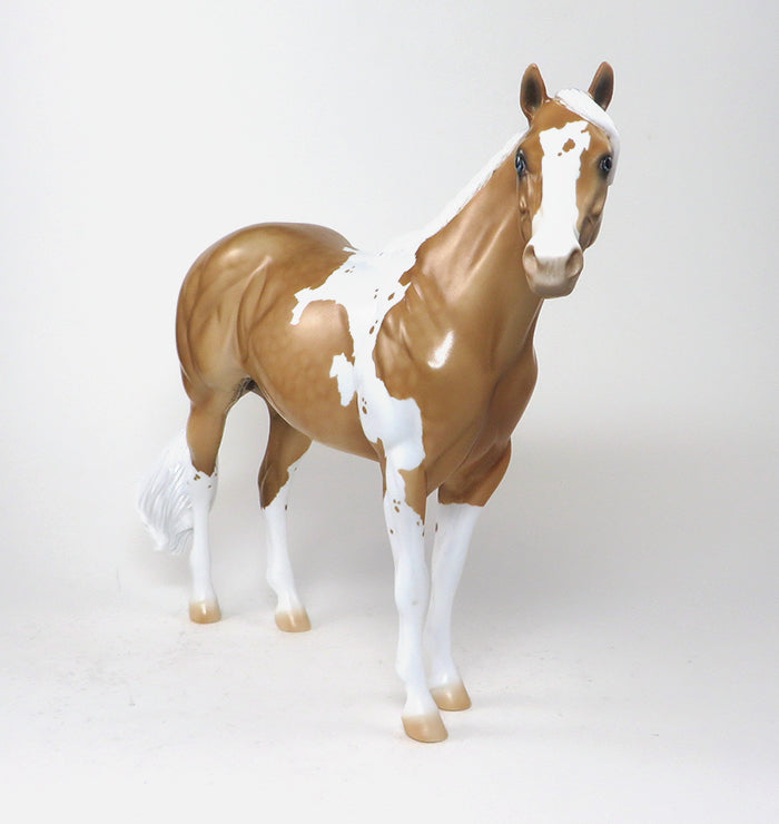 paint stock horse