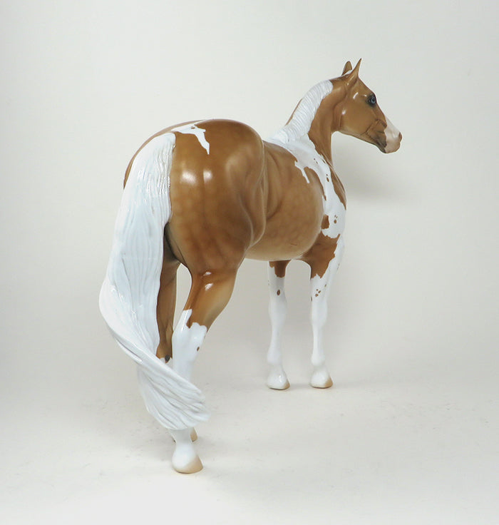 paint stock horse