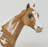 blue eyed palomino paint