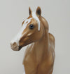 boy band palomino paint