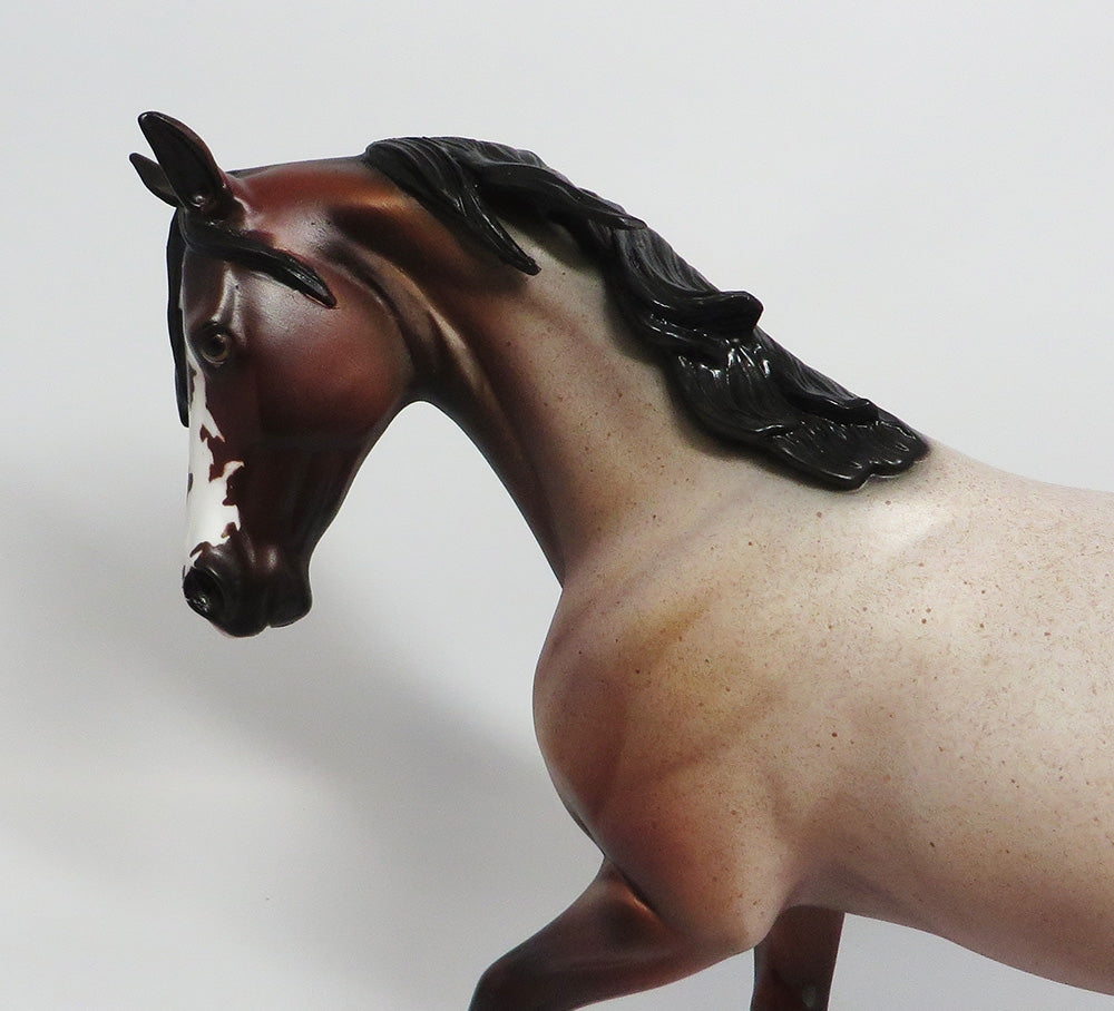 LEGS-OOAK BAY ROAN THOROUGHBRED MODEL HORSE 02/16/18