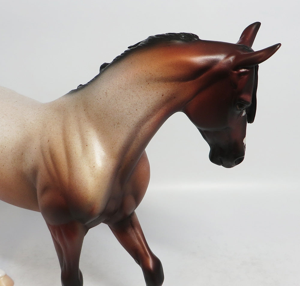 LEGS-OOAK BAY ROAN THOROUGHBRED MODEL HORSE 02/16/18