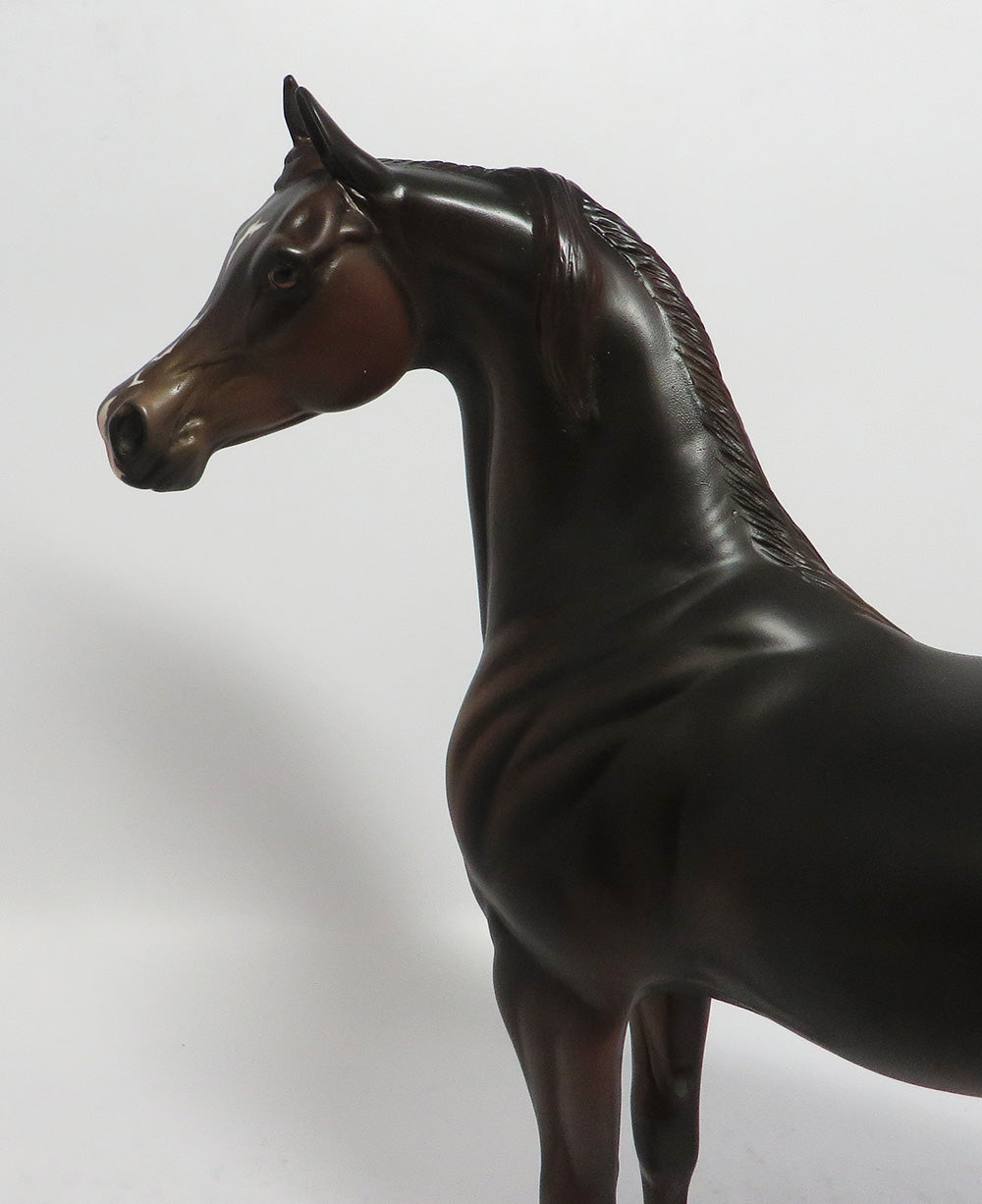 LOONEY TUNES-OOAK DARK CHESTNUT ARABIAN MODEL HORSE BY DAWN QUICK 2-23-18