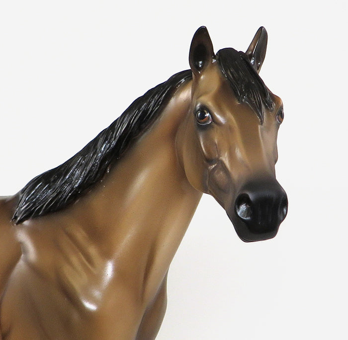 Buckskin Model Horse