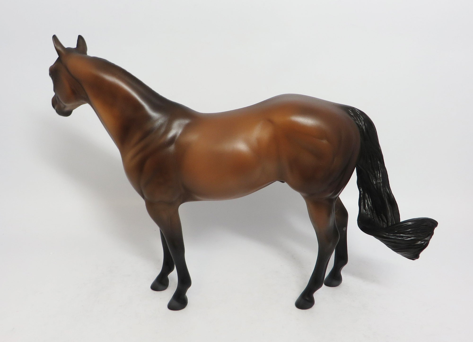 M&#39;BAKU-LE-2 SOOTY BUCKSKIN ISH MODEL HORSE MIDWEST FAIR 2018