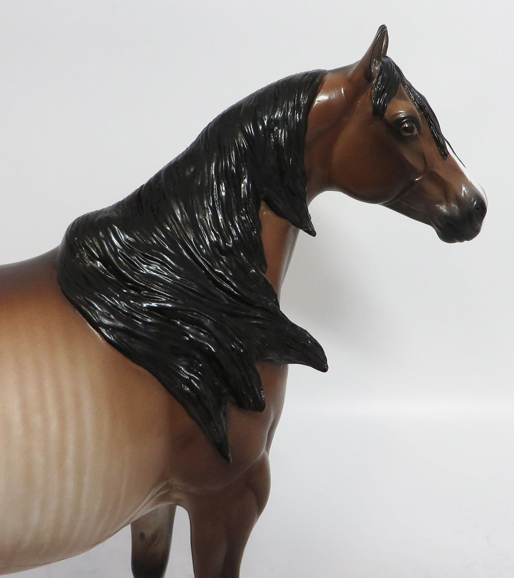 STRAIGHT FLUSH-OOAK BAY RABICANO COCKED LEG ISH BY SHERYL LEISURE 2/16/18