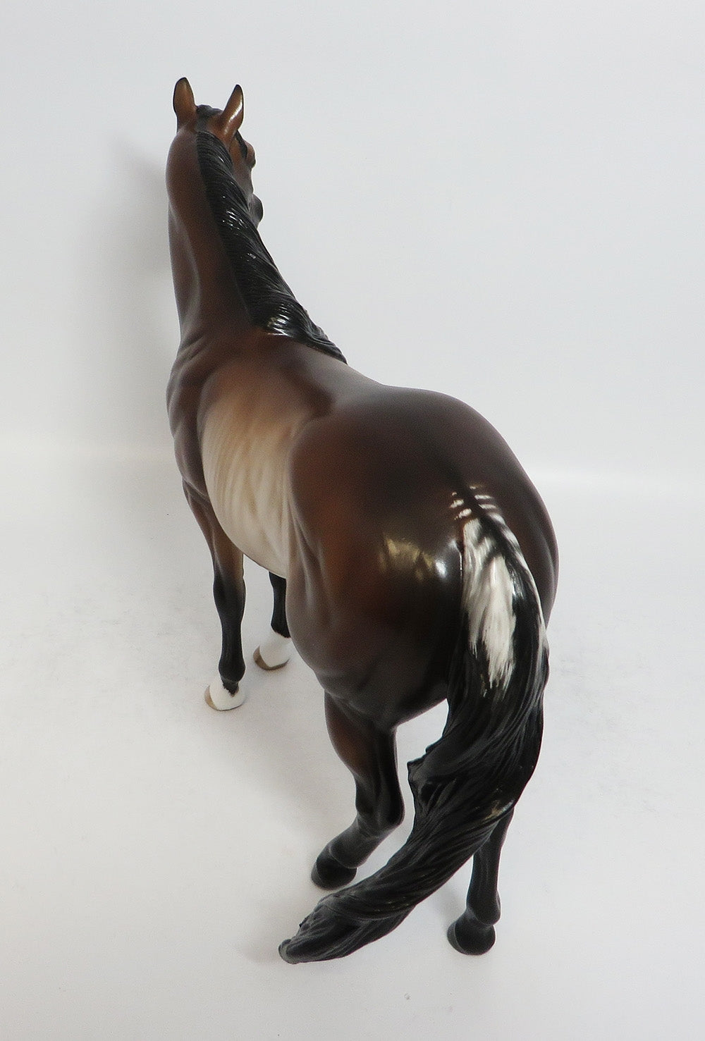 STRAIGHT FLUSH-OOAK BAY RABICANO COCKED LEG ISH BY SHERYL LEISURE 2/16/18