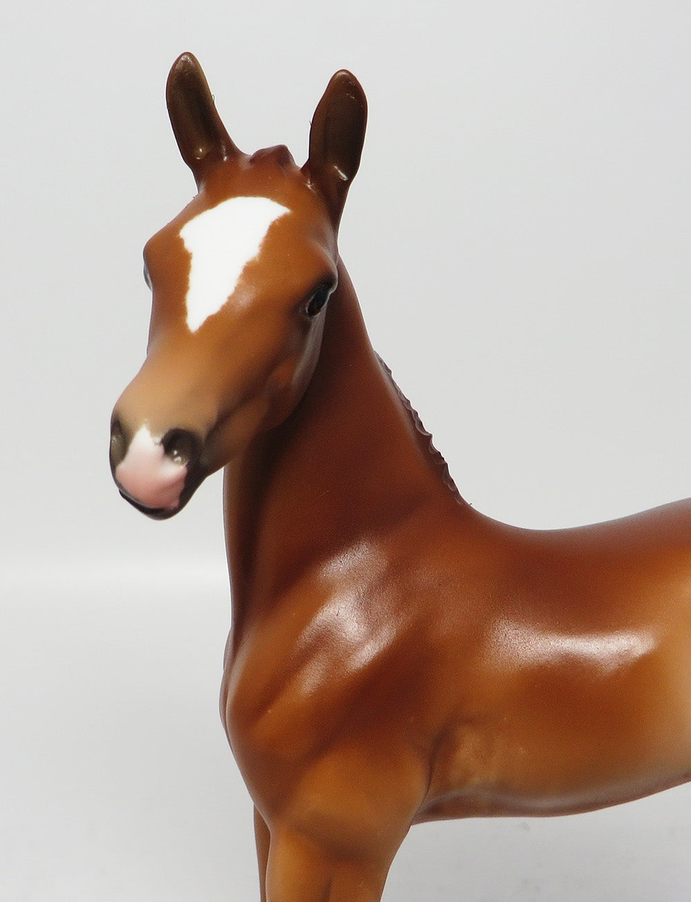 SHENANDOAH-OOAK CHESNUT ARABIAN FOAL MODEL HORSE EQ 2017