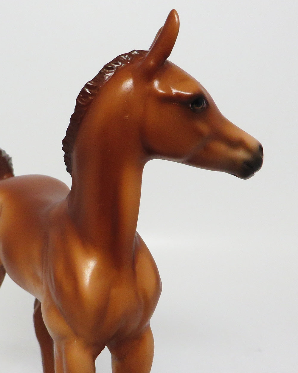 SHENANDOAH-OOAK CHESNUT ARABIAN FOAL MODEL HORSE EQ 2017